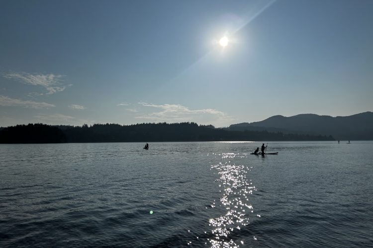 Porpoise Bay inlet paddle in ocean